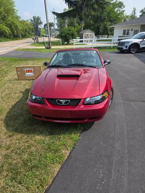Red 2004 Ford Mustang Base
