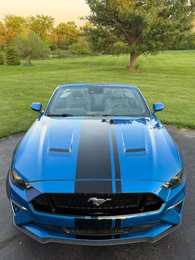 Blue 2019 Ford Mustang GT Premium