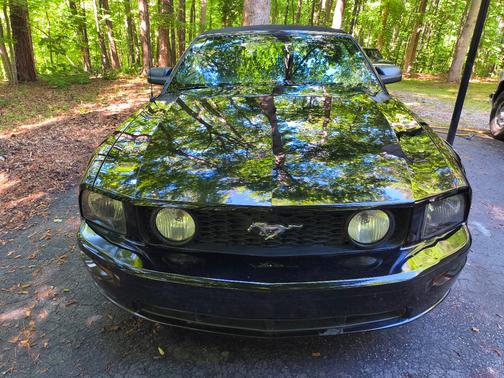 Black 2008 Ford Mustang GT