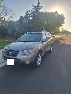 Beige 2009 Hyundai SANTA FE SE