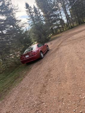Red 2002 Ford Mustang Base