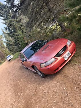 Red 2002 Ford Mustang Base