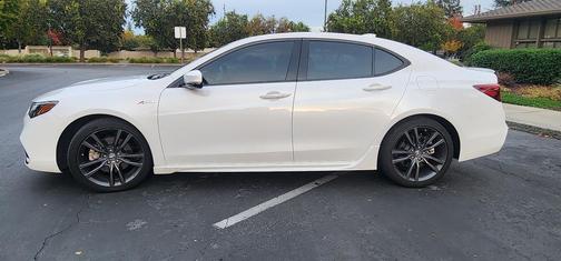 White 2019 Acura TLX A-Spec