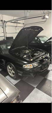 1998 Ford Mustang SVT Cobra