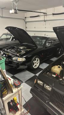 1998 Ford Mustang SVT Cobra