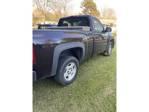 2008 Chevrolet Silverado 1500 Work Truck
