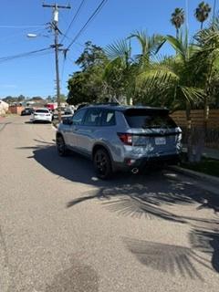 Gray 2025 Honda Passport Black Edition