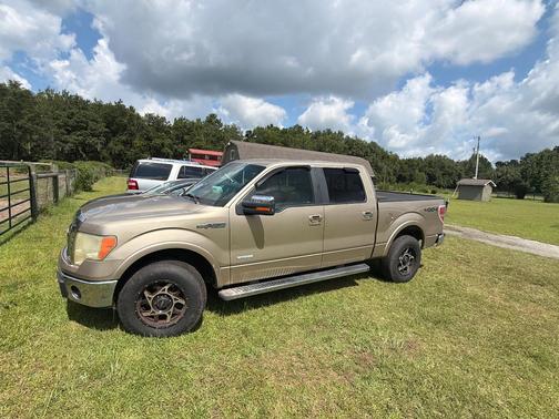 Beige 2011 Ford F-150 Lariat