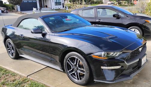 Black 2023 Ford Mustang EcoBoost Premium