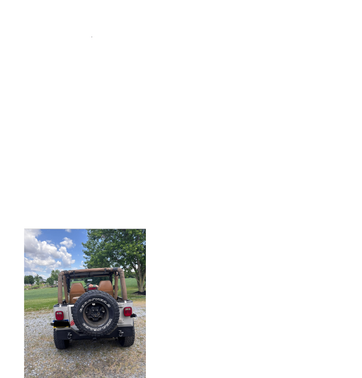 Beige 1995 Jeep Wrangler S