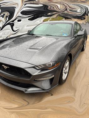 2019 Ford Mustang EcoBoost