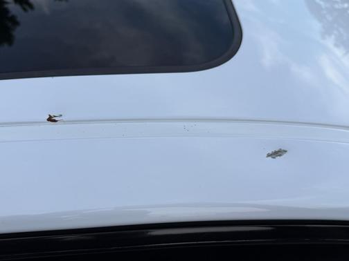 White 2015 Lexus GS 350 Base