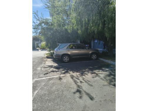 Gold 2002 Lexus RX 300 Base