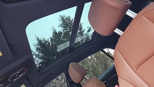 2023 Audi Q8 55 Premium Plus