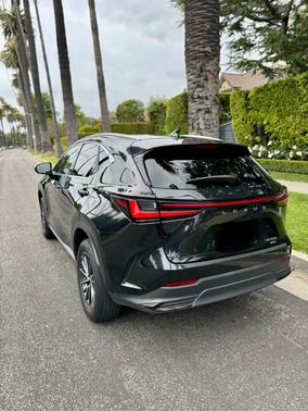 2022 Lexus NX 350 Premium