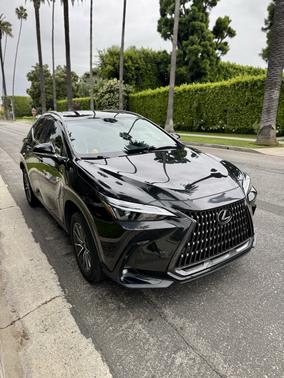 2022 Lexus NX 350 Premium