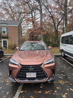 2025 Lexus NX 350 Premium AWD