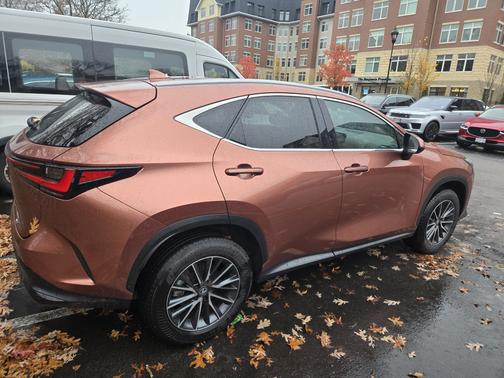 2025 Lexus NX 350 Premium AWD