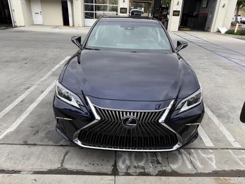 Blue 2019 Lexus ES 300h Base