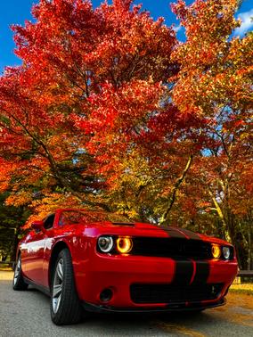 2015 Dodge Challenger SXT