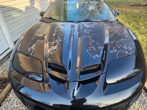 2002 Pontiac Firebird Trans Am