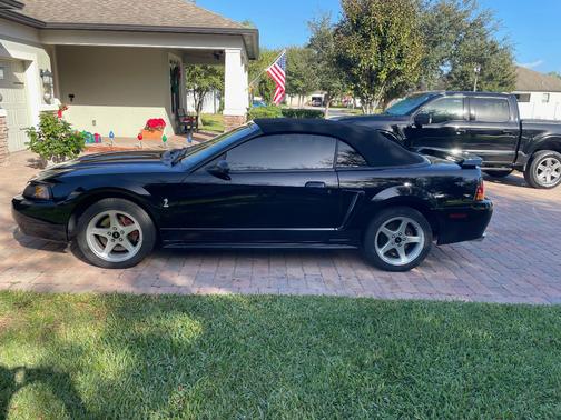 2001 Ford Mustang SVT Cobra