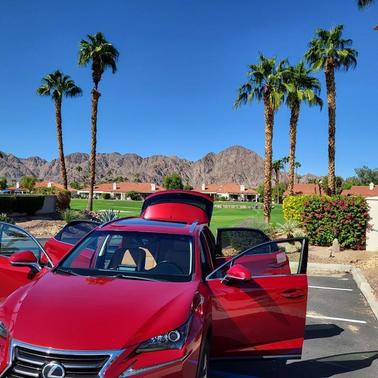 Red 2015 Lexus NX 200t Base