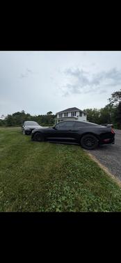 Black 2019 Ford Mustang GT Premium