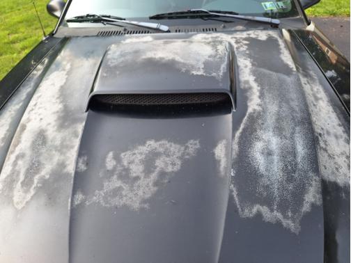 2003 Ford Mustang Base