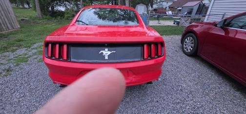 Red 2015 Ford Mustang V6