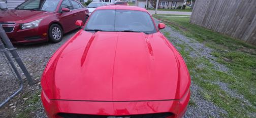 Red 2015 Ford Mustang V6
