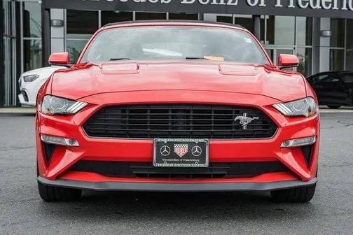 2019 Ford Mustang GT Premium