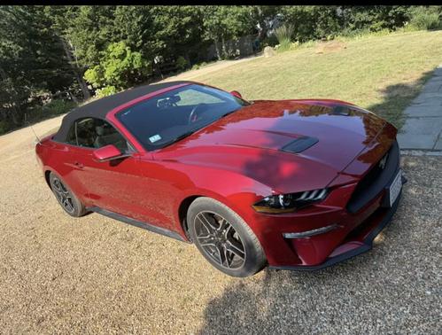2020 Ford Mustang EcoBoost
