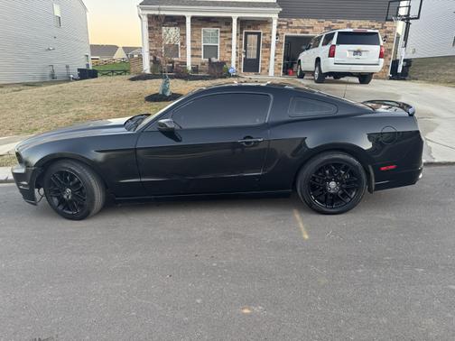 2014 Ford Mustang V6