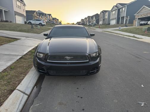 2014 Ford Mustang V6