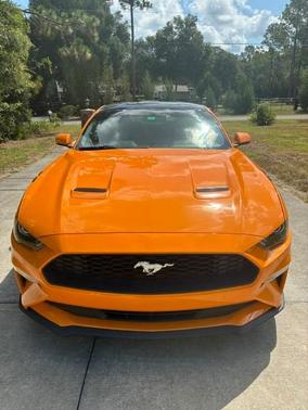 Orange 2018 Ford Mustang EcoBoost