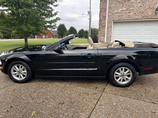 2008 Ford Mustang Base