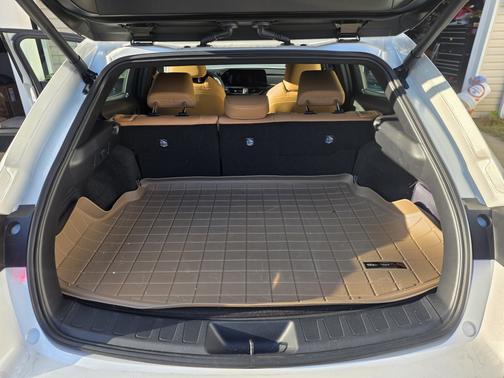 2025 Lexus UX 300h Premium