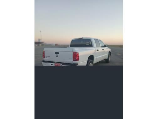 White 2007 Dodge Dakota SLT Quad Cab