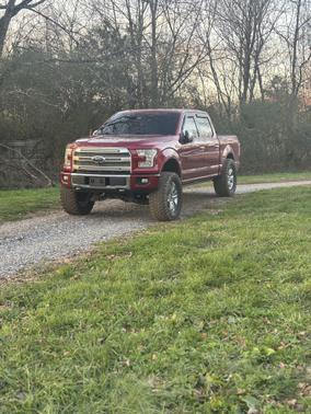 2015 Ford F-150 Platinum
