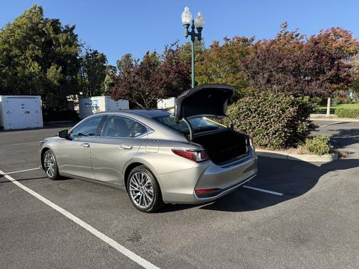 Silver 2019 Lexus ES 300h Luxury