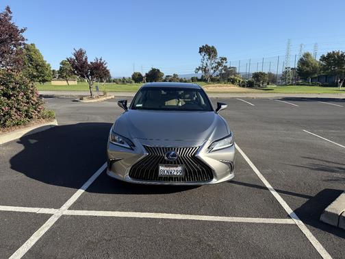 Silver 2019 Lexus ES 300h Luxury