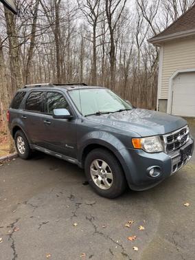 2010 Ford Escape Hybrid Limited