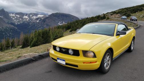 Yellow 2008 Ford Mustang Base