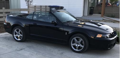 2004 Ford Mustang SVT Cobra