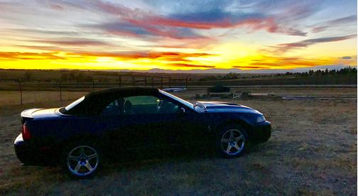 2004 Ford Mustang SVT Cobra