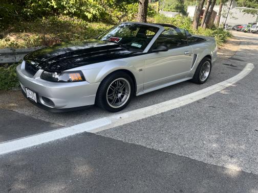 2000 Ford Mustang GT