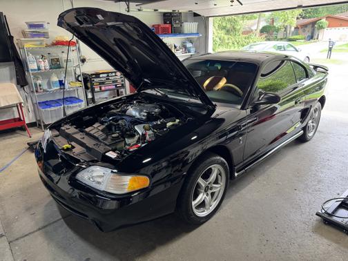 1998 Ford Mustang SVT Cobra