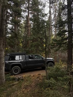 Gray 2024 Toyota Tacoma TRD Off Road
