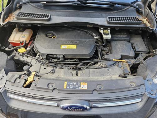 Black 2013 Ford Escape SE